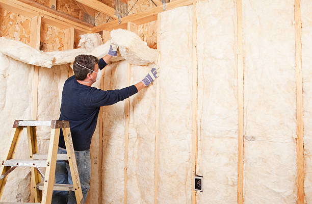 Types of Insulation We Offer in Clemson, SC